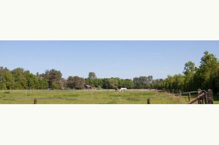 Bungalow Het Caitwickerzand op de Veluwe met paardenweide VMP024